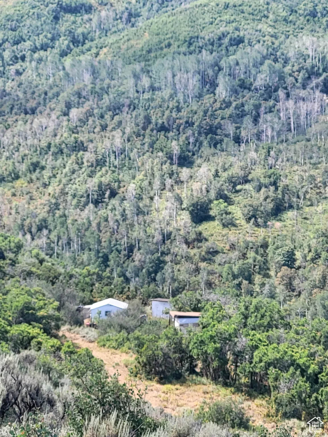 Aerial overview of property's location featuring a heavily wooded area