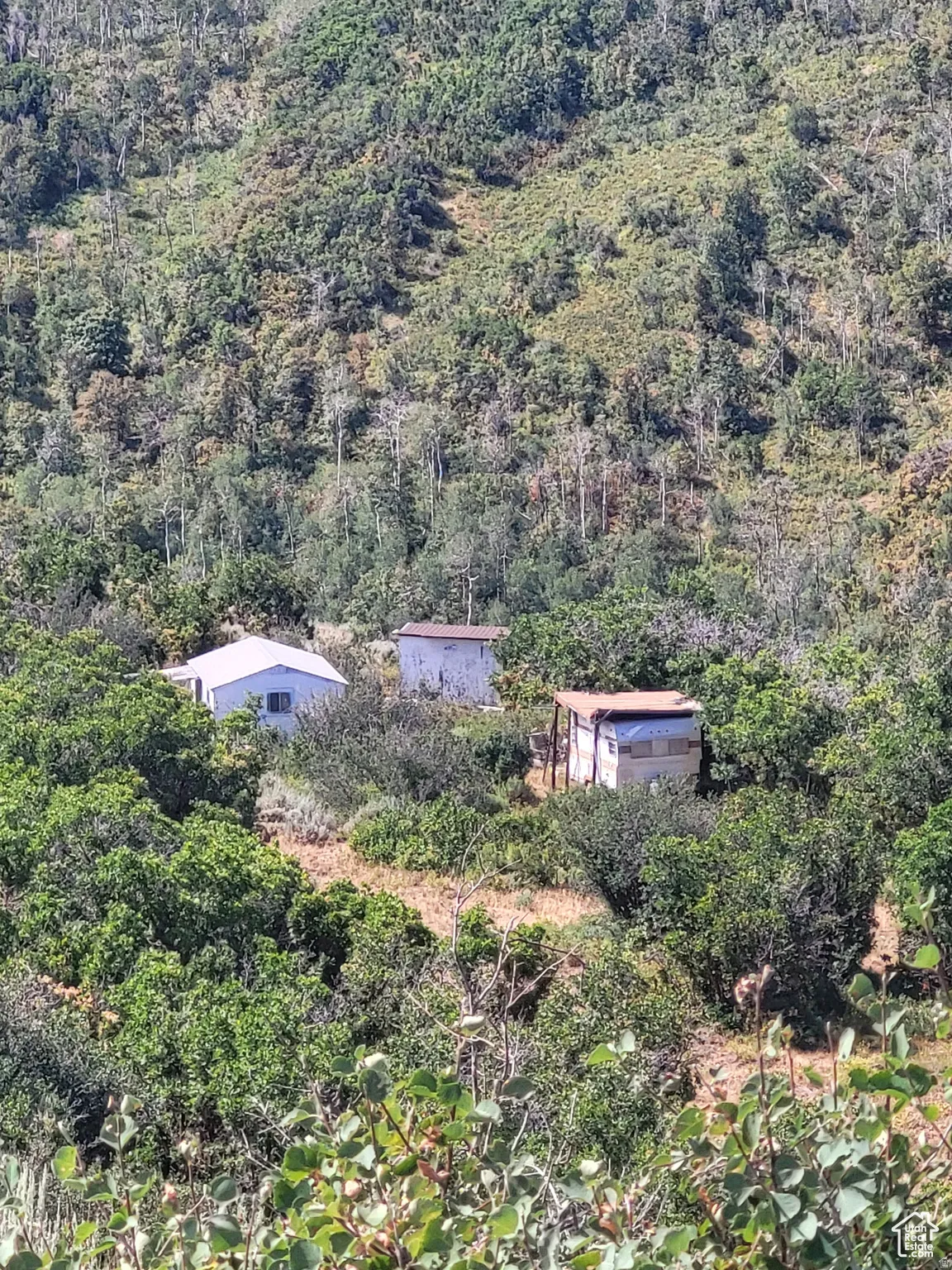 View of subject property with a forest