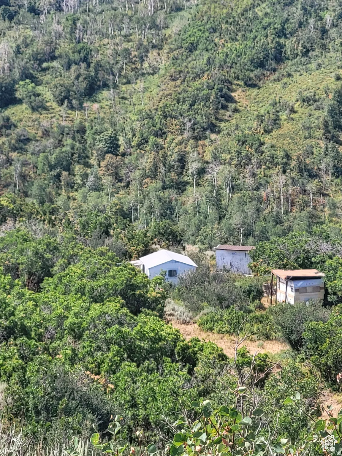 View of subject property with a heavily wooded area