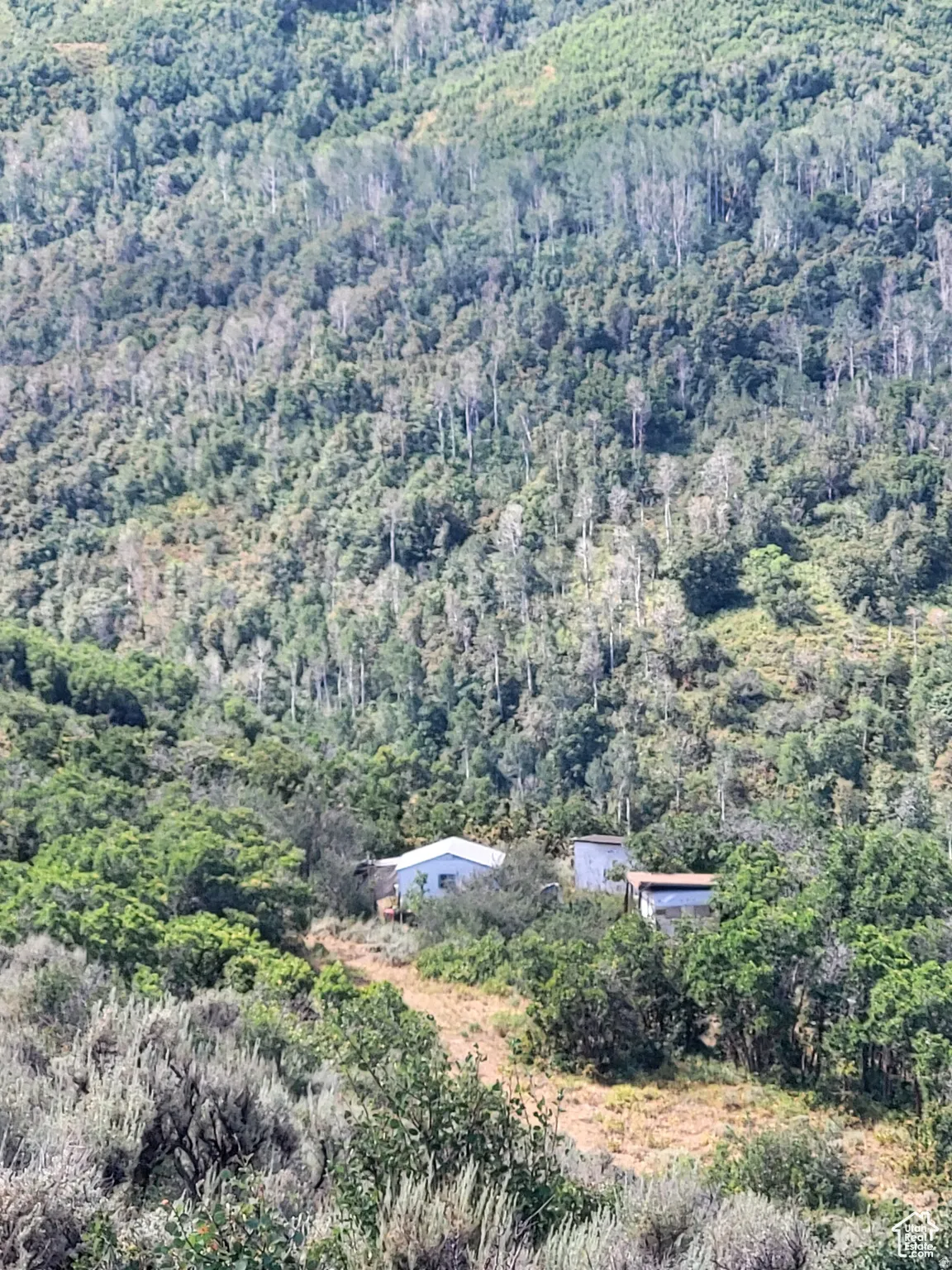 Aerial view of property and surrounding area featuring a heavily wooded area