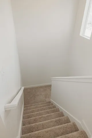 Carpeted staircase with white painted handrails and a window