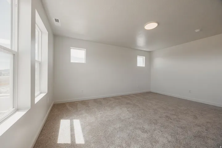 Spacious room featuring neutral carpeting, multiple windows, and a flush-mount ceiling light