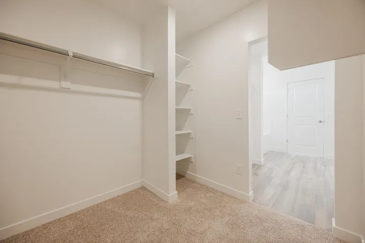 Closet with carpet flooring, built-in shelving, and a hanging rod