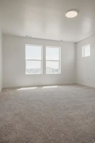 Carpeted room featuring multiple windows, a ceiling-mounted light fixture, and white wall finishes