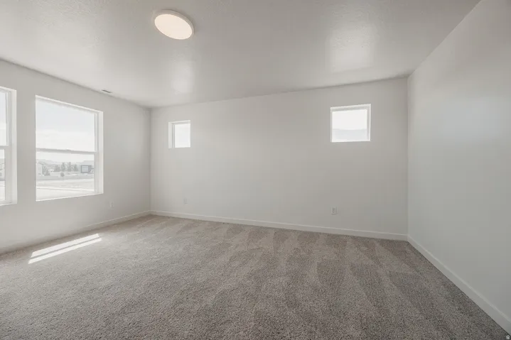 Neutral wall paint, carpet flooring, multiple windows, and a flush-mount ceiling light
