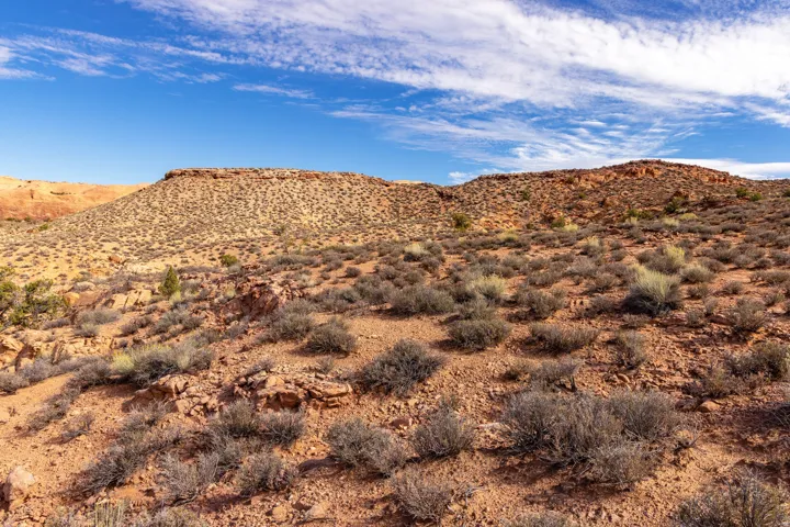 View of mountain backdrop with a desert landscape