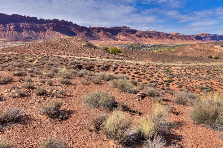 View of mountain backdrop with a desert landscape