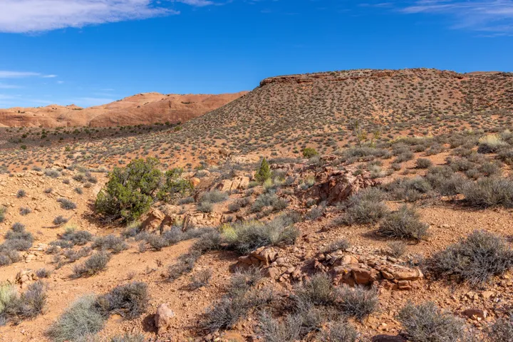 View of mountain backdrop with a desert landscape