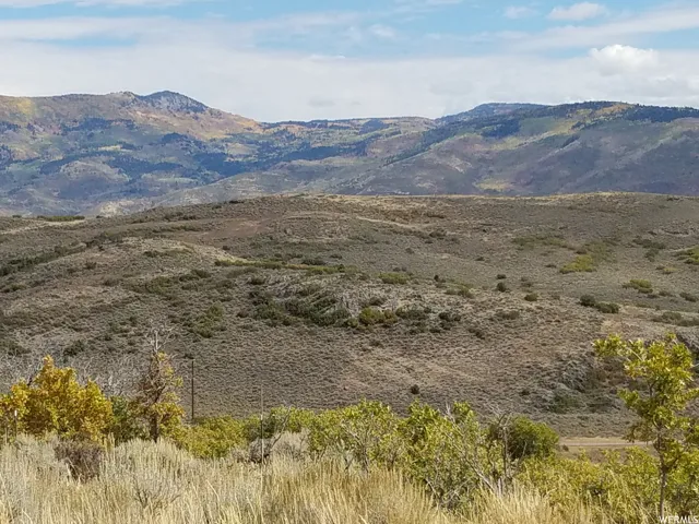 View of mountain background
