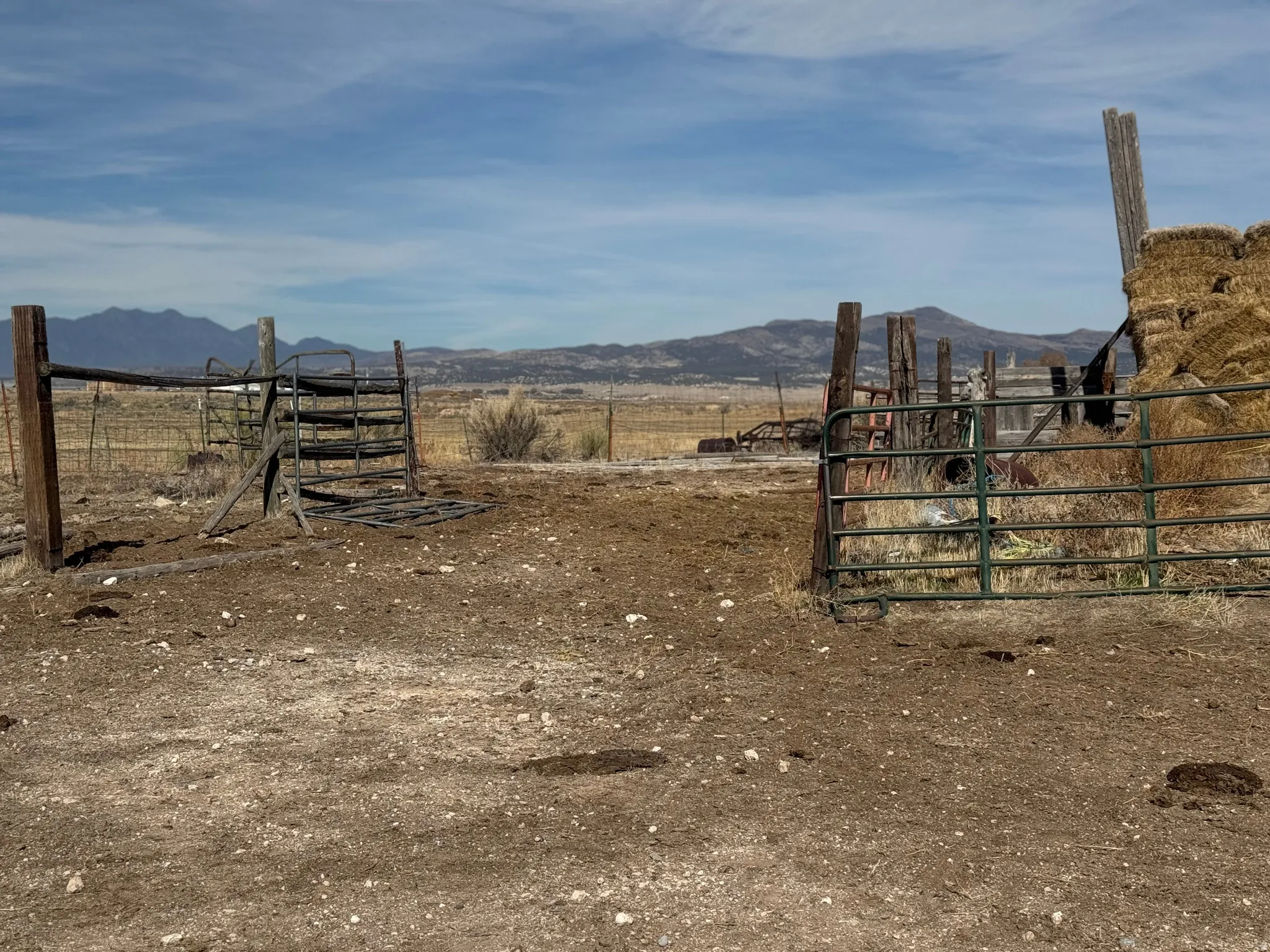 View of yard with a mountain view and a rural view