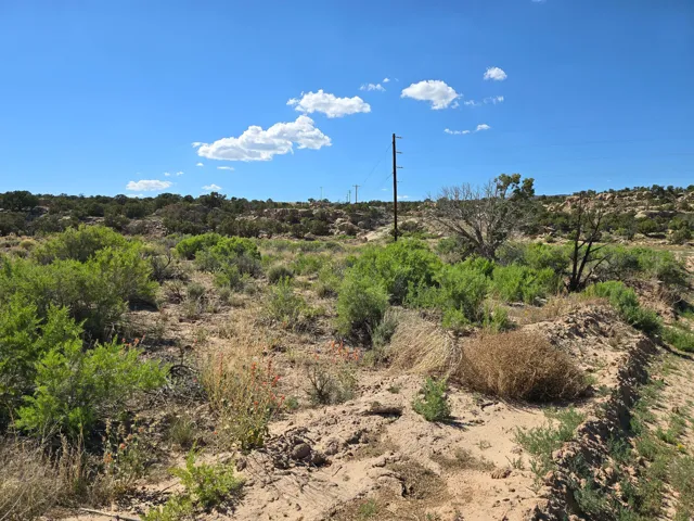 View of undeveloped land