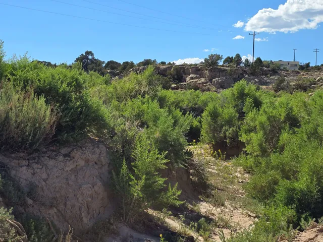 View of undeveloped land