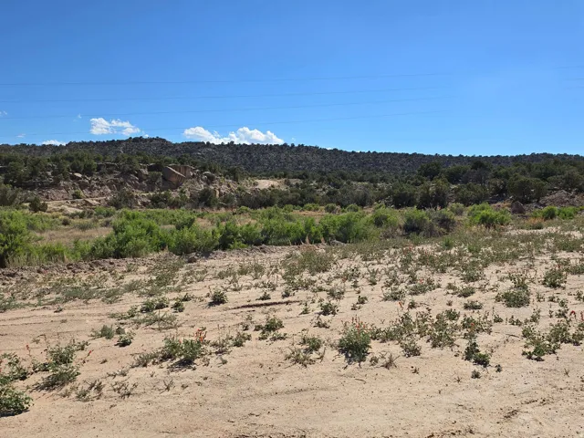 View of mountain background