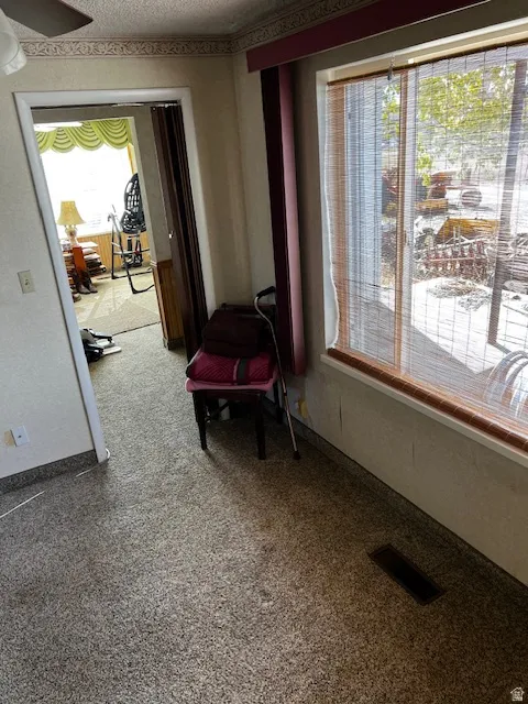 Living area featuring a textured ceiling and carpet flooring
