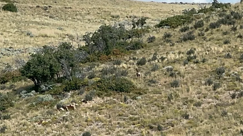 View of local wilderness