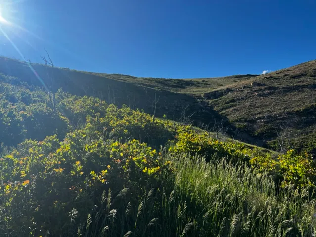 View of mountain background