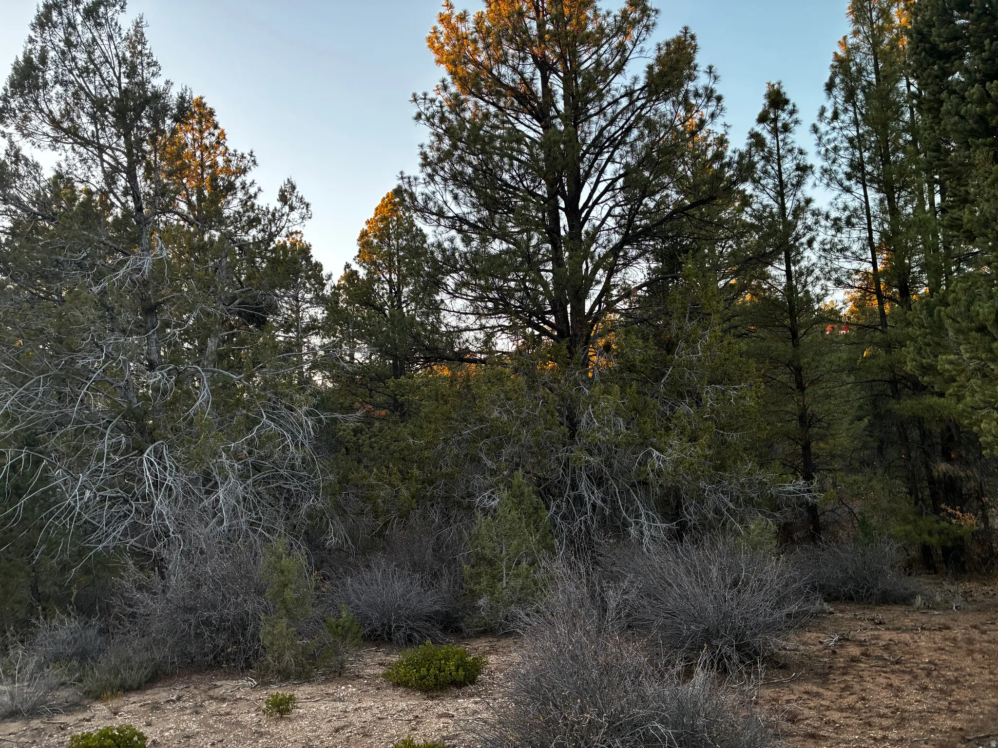 View of undeveloped land