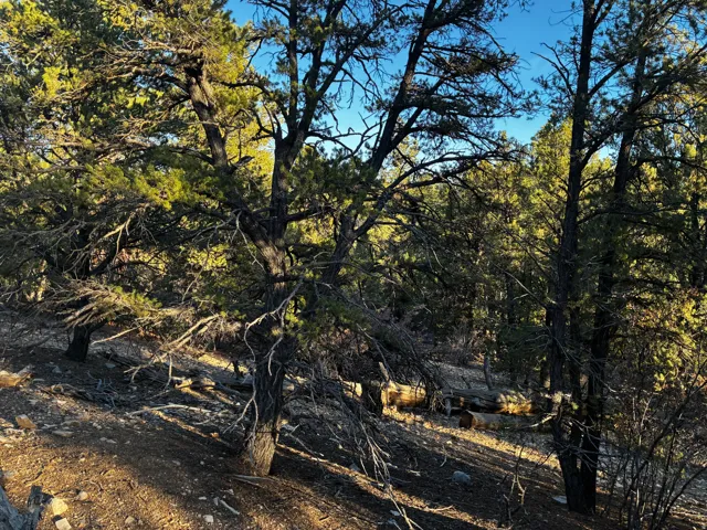 View of undeveloped land