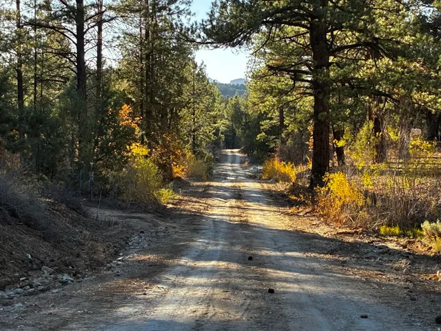 View of dirt / gravel road with a view of trees