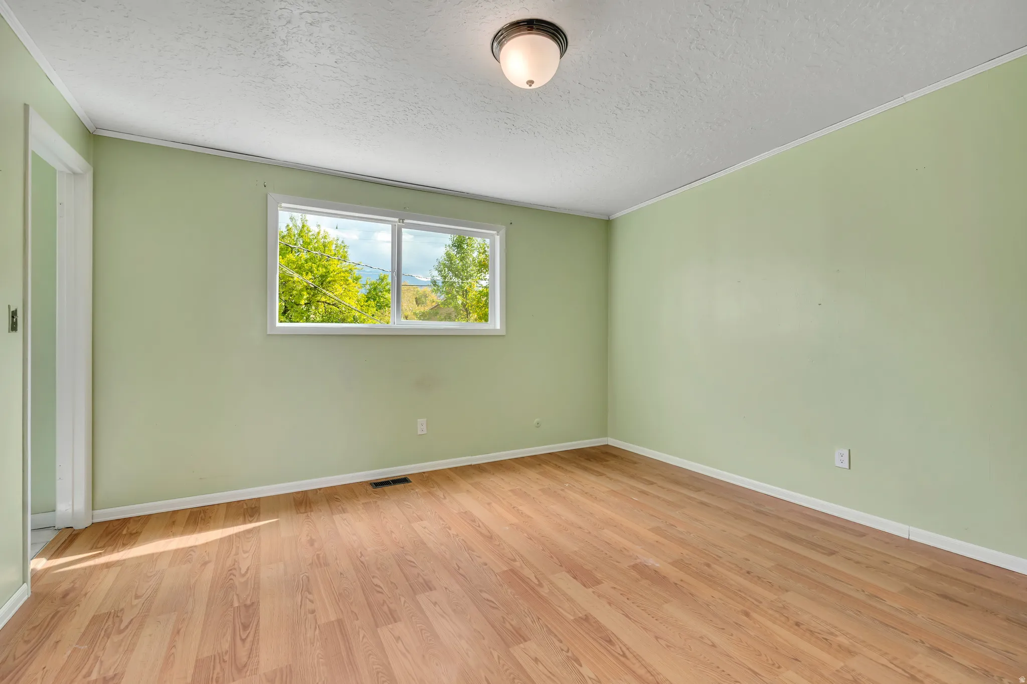 Spare room featuring light wood-type flooring, a textured ceiling, and ornamental molding