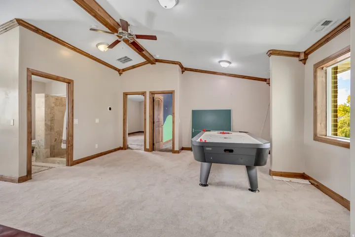 Game room with carpet flooring, crown molding, and ceiling fan