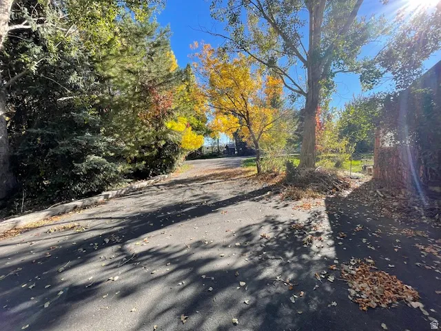 View of asphalt driveway