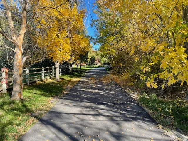 View of asphalt road
