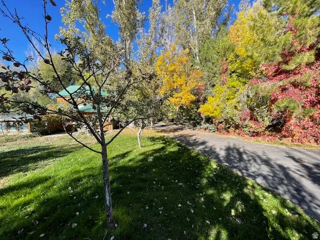 Surrounding community with a lawn