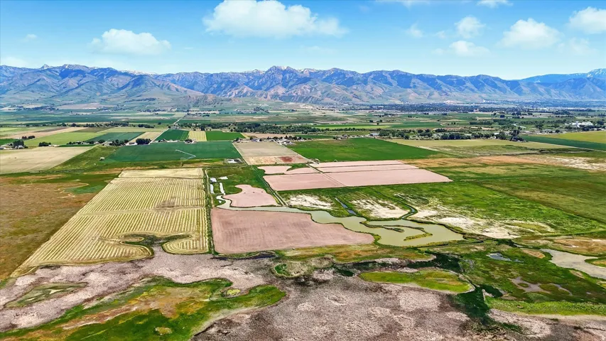 Overview of rural landscape with rows of crops and a mountainous background