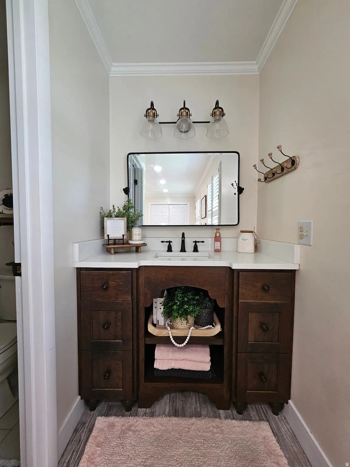 Bathroom featuring ornamental molding, vanity, and dark wood-type flooring