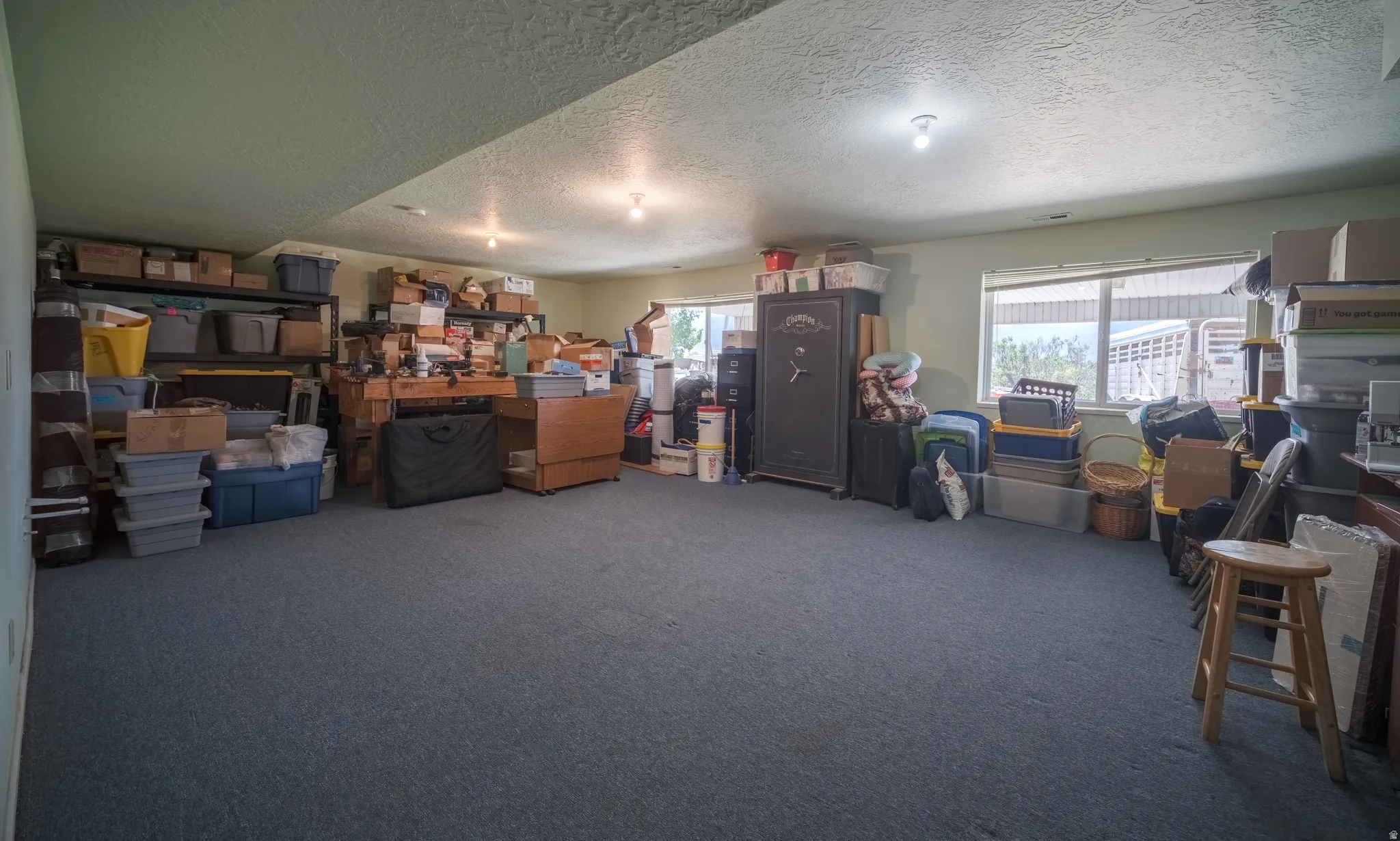 Spacious lower-level room featuring gray carpeting, recessed lighting, and multiple windows providing natural light