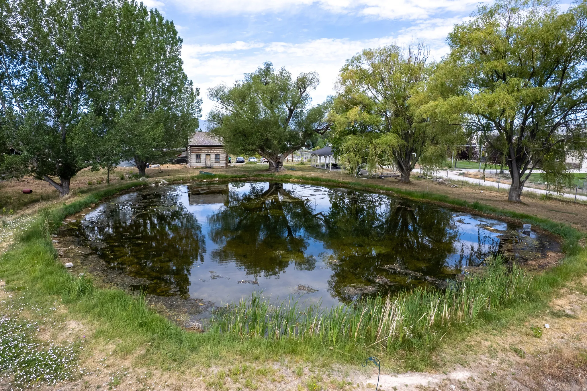 Natural pond feature surrounded by established trees and grassy areas