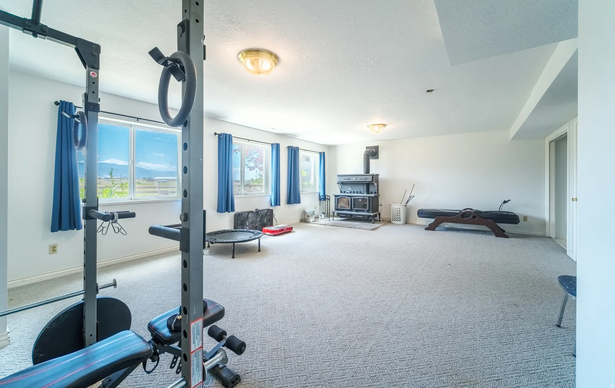 Spacious room featuring light-colored carpeting, multiple windows providing natural light, a freestanding wood-burning stove, white walls, and flush-mount ceiling lighting