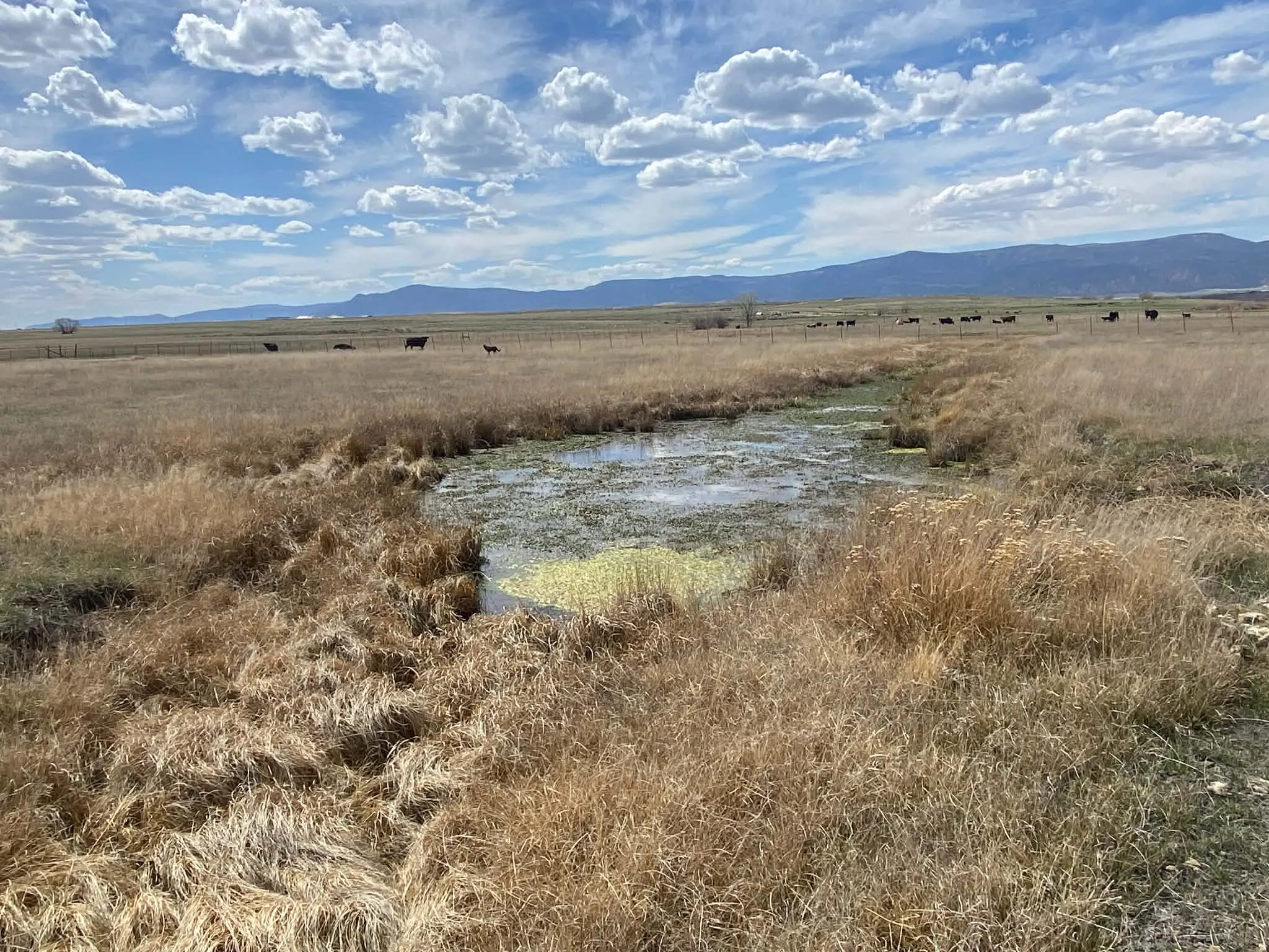 View of mountain backdrop featuring rural landscape and a large body of water