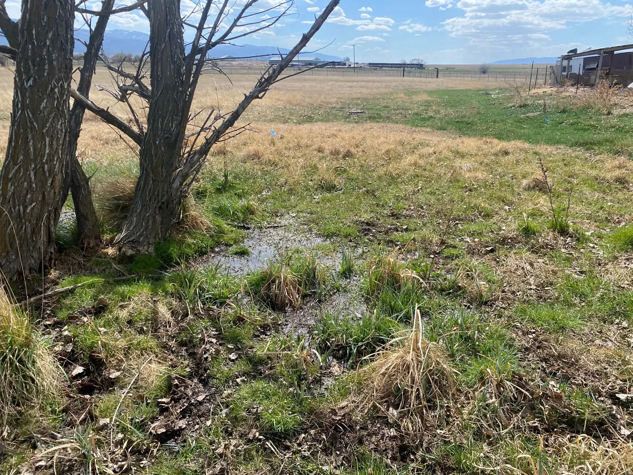 View of undeveloped land featuring rural landscape