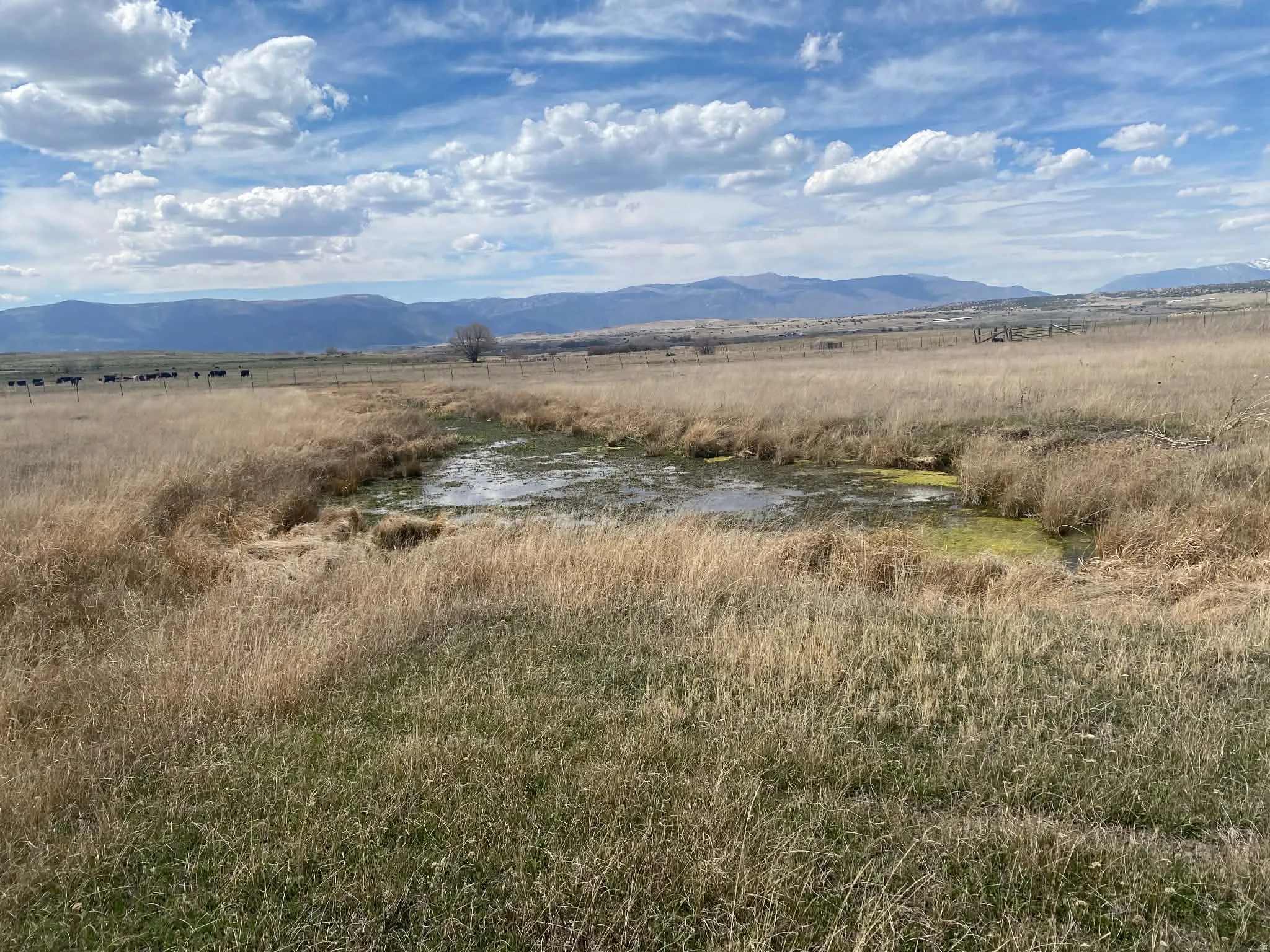 View of mountain backdrop featuring rural landscape and a nearby body of water