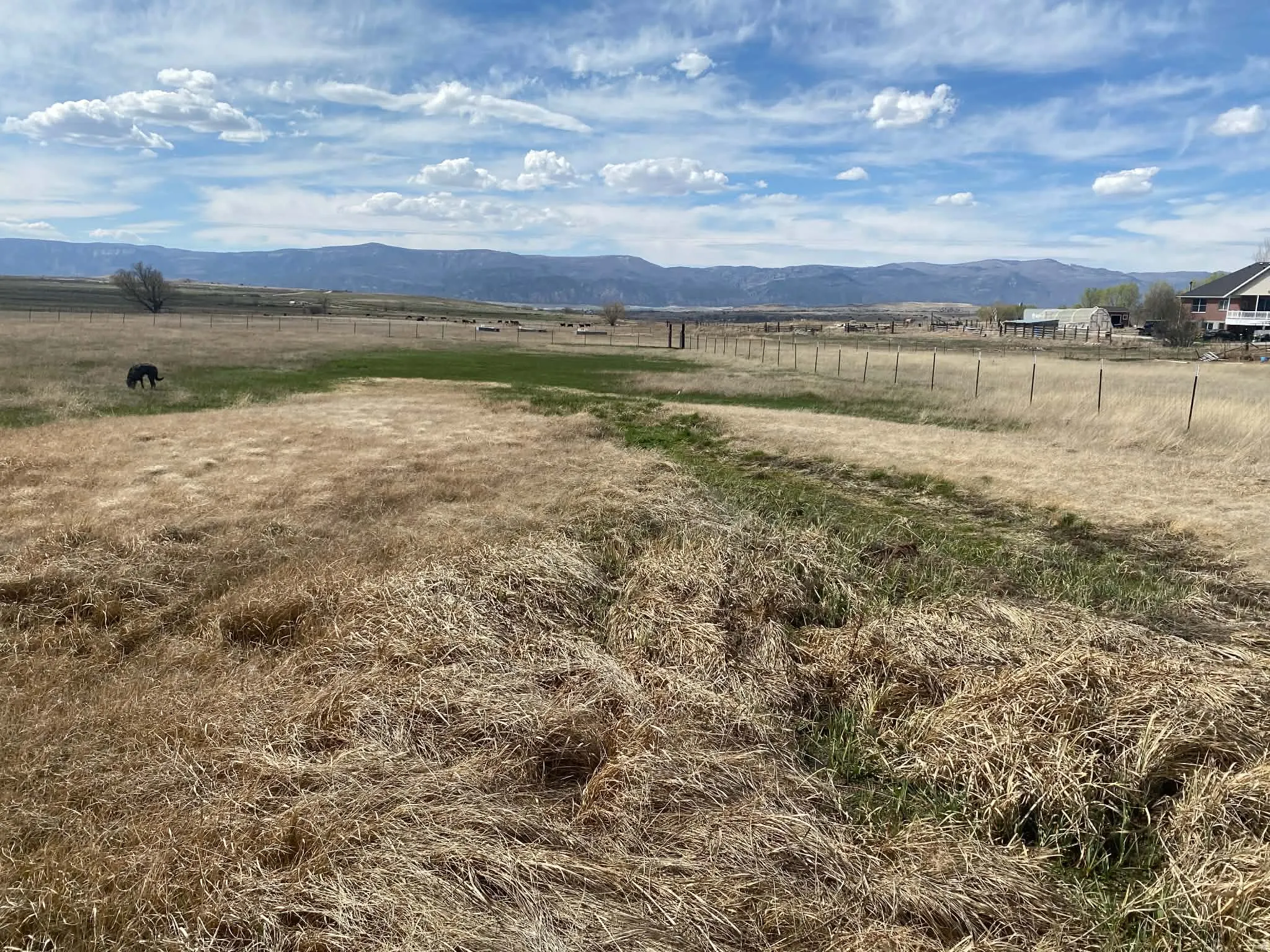 View of mountain background with rural landscape