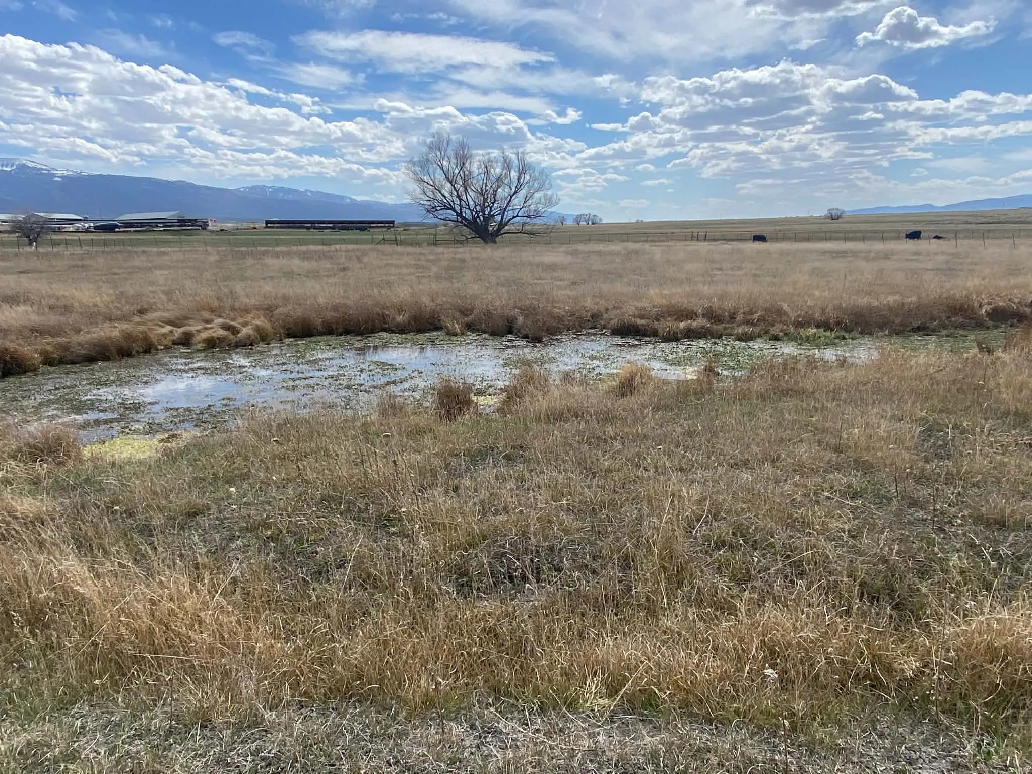 Mountain view featuring rural landscape and a large body of water