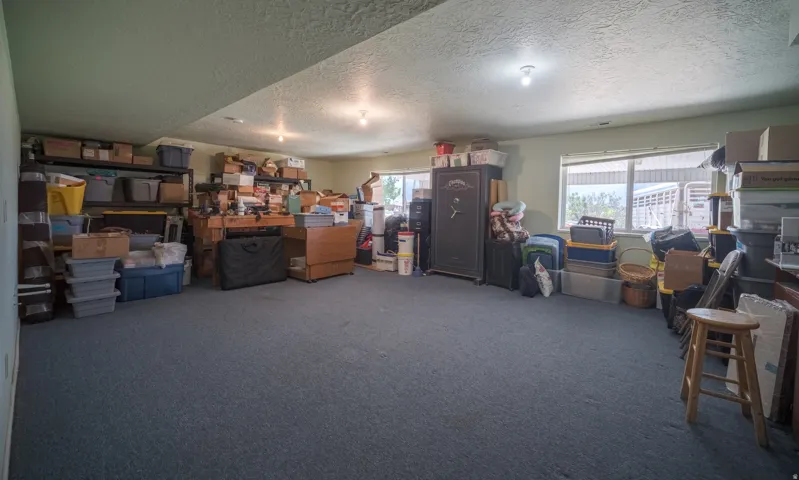 Spacious lower-level room featuring gray carpeting, recessed lighting, and multiple windows providing natural light