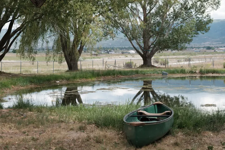 Private pond with natural vegetation and mature trees