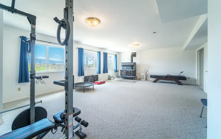 Spacious room featuring light-colored carpeting, multiple windows providing natural light, a freestanding wood-burning stove, white walls, and flush-mount ceiling lighting