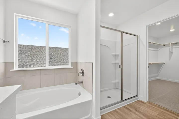 Full bath featuring a bath, a spacious closet, a stall shower, light wood finished floors, and vanity