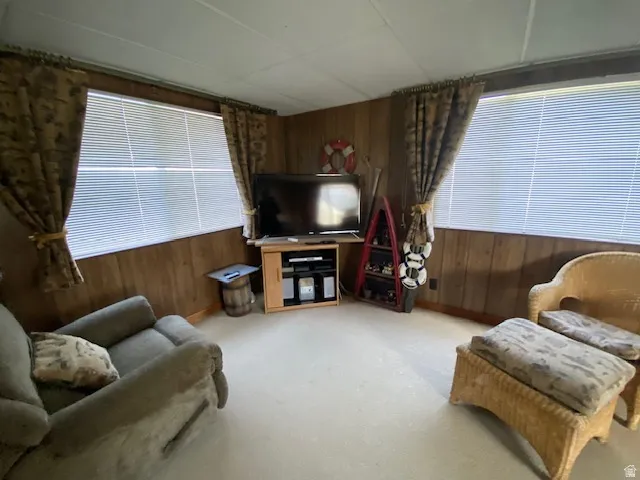 Living room with wood walls and carpet