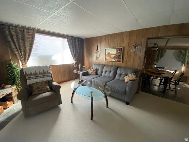 Carpeted living room featuring wood walls