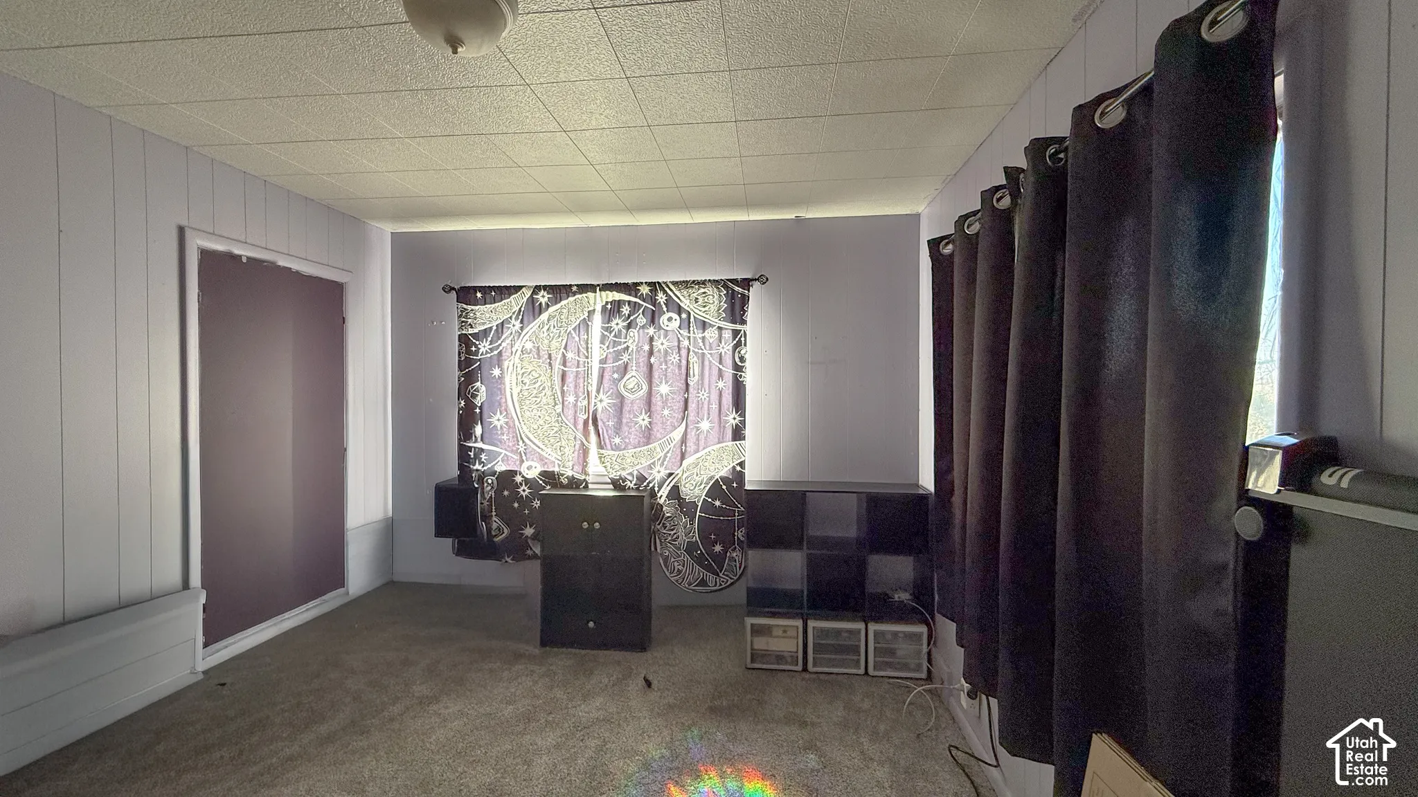 Dining room featuring carpet floors and healthy amount of natural light