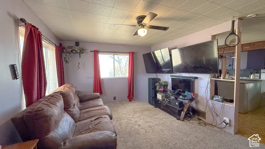 Living area featuring carpet and a ceiling fan