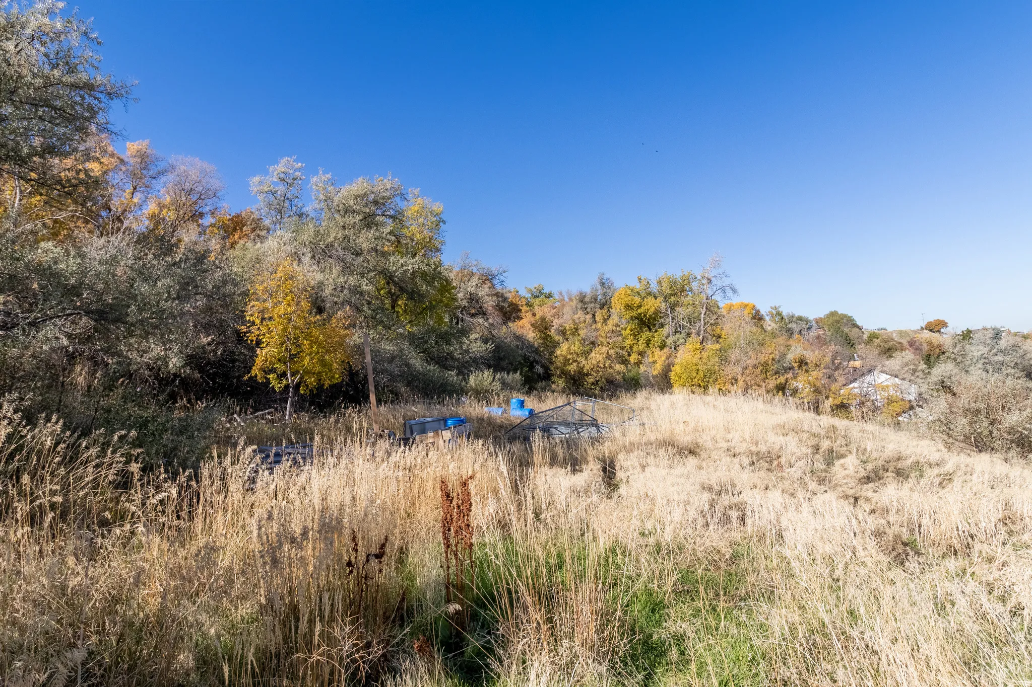 View of undeveloped land