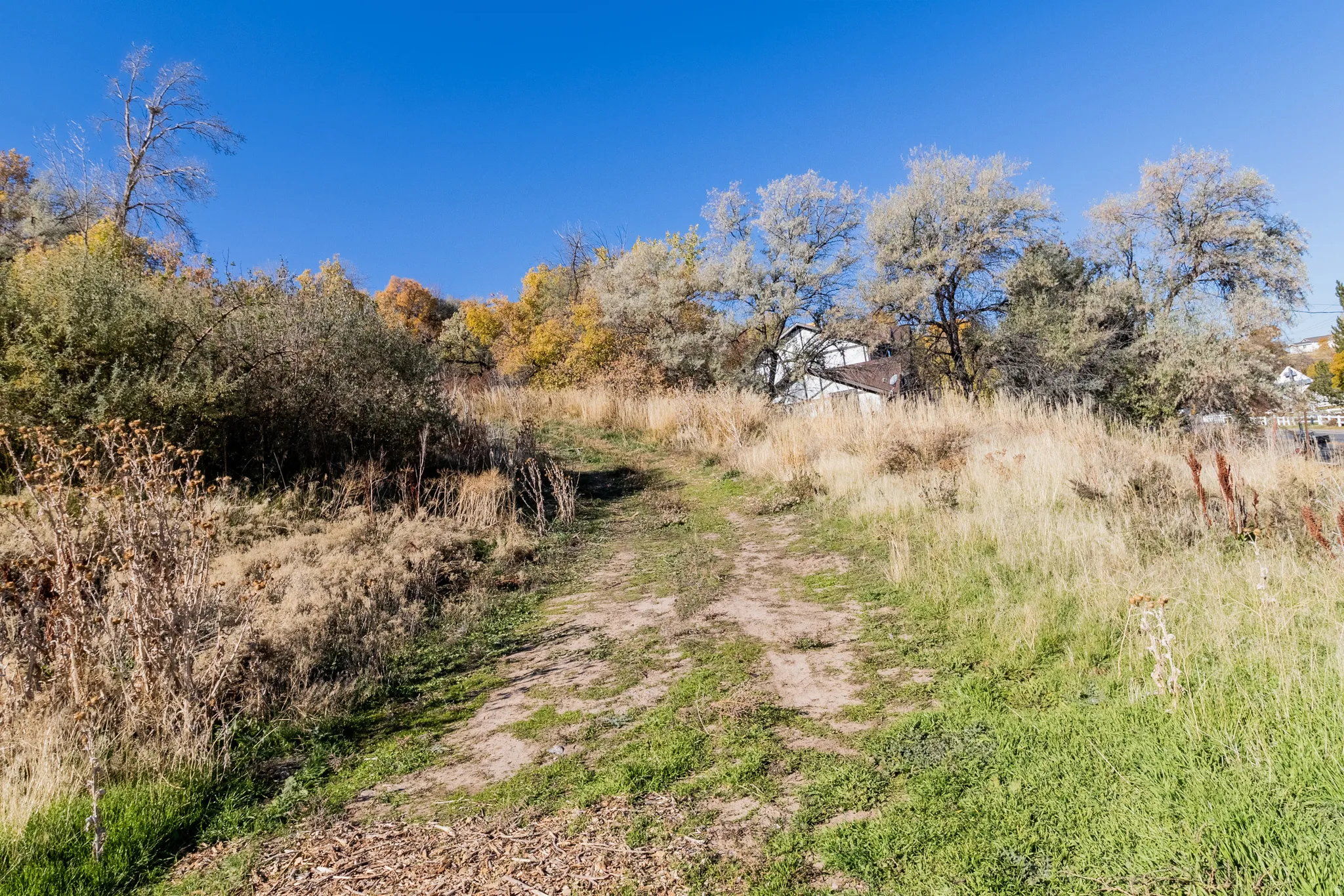 View of undeveloped land