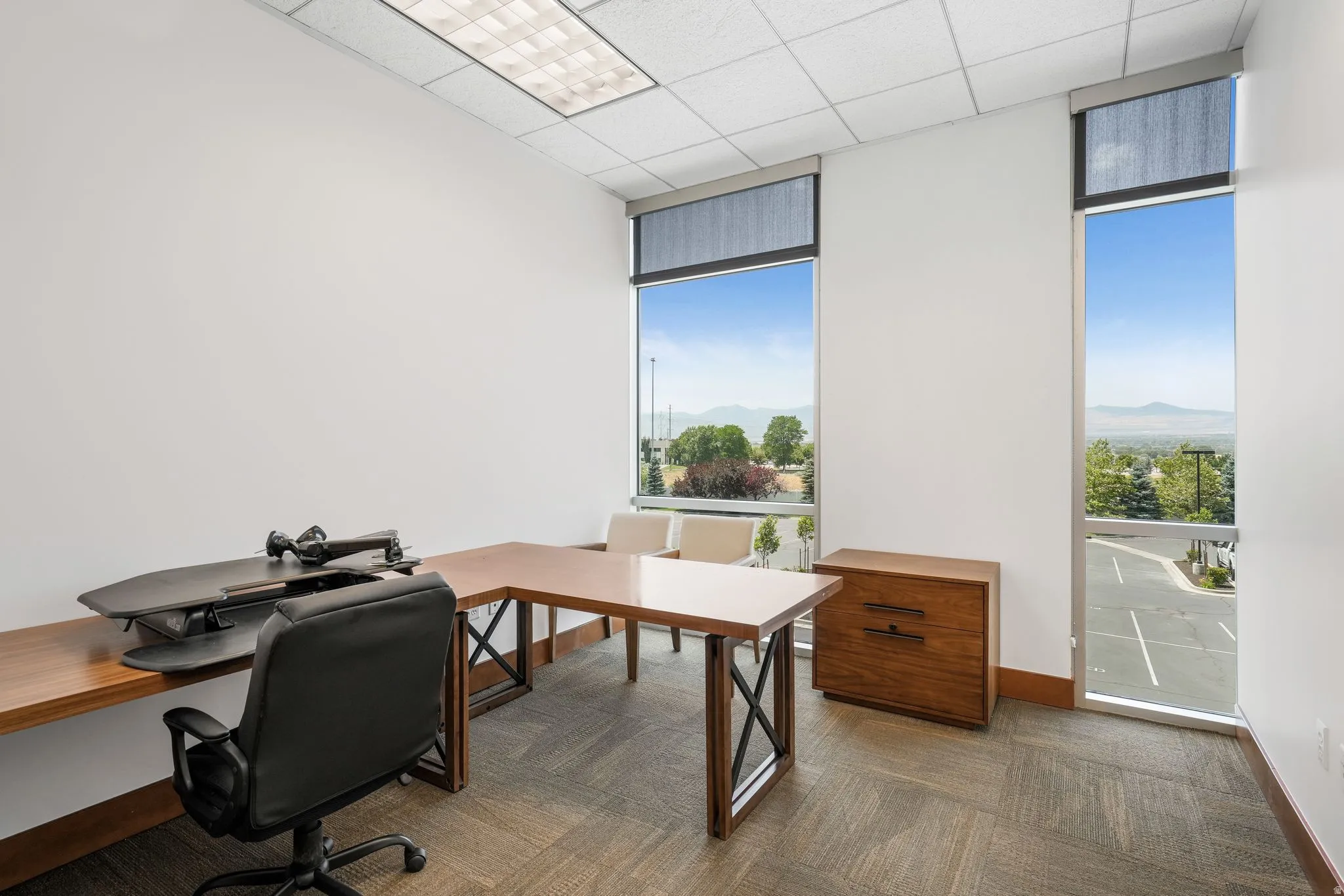 Office with a mountain view, dark colored carpet, and a drop ceiling