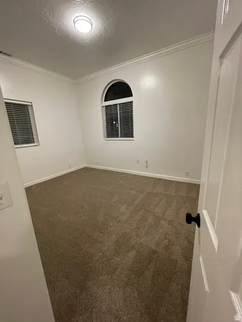 Empty room featuring ornamental molding, dark carpet, and a textured ceiling